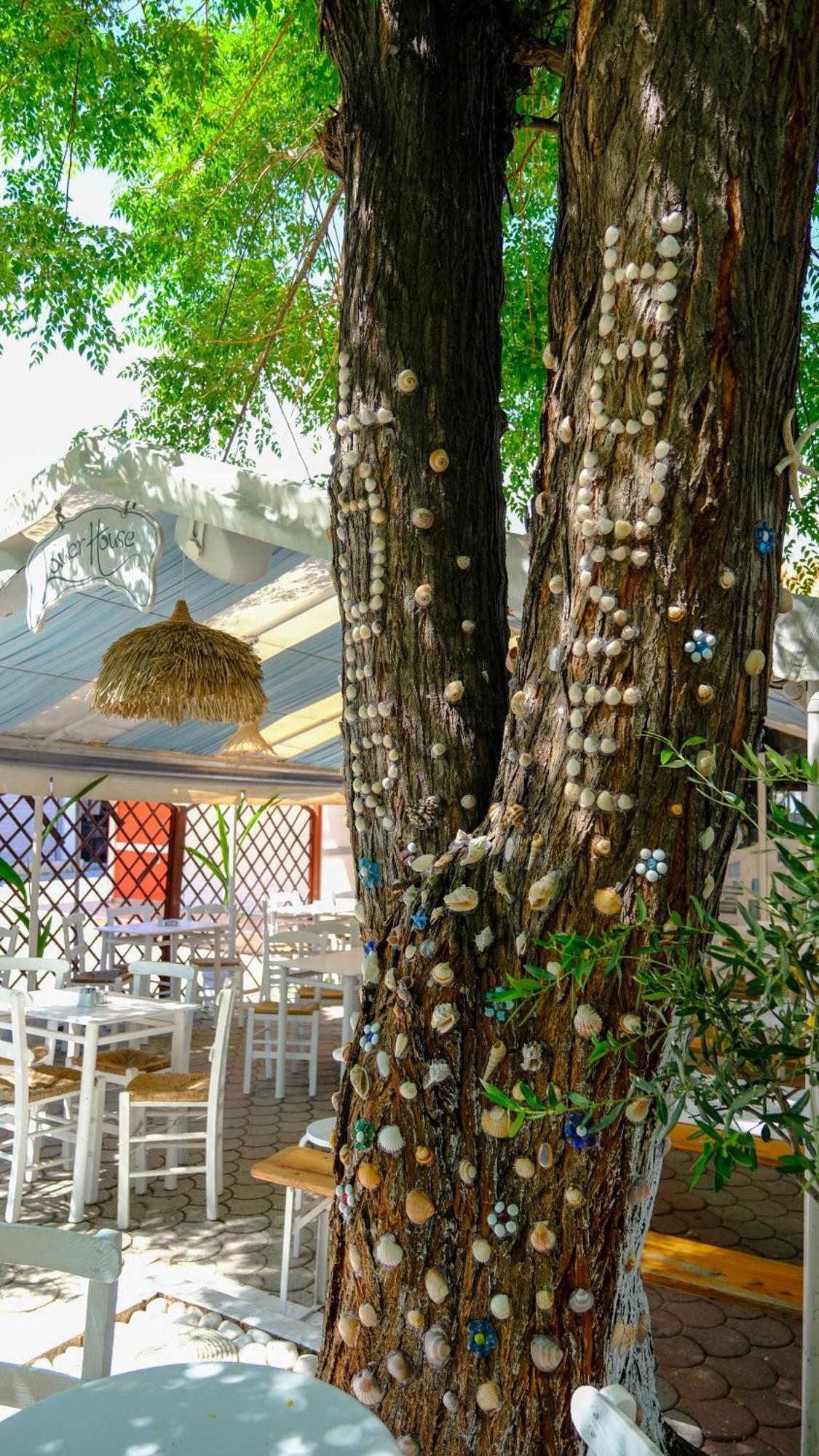 Cocoon Hotel-Beach Bar Sarti Ngoại thất bức ảnh
