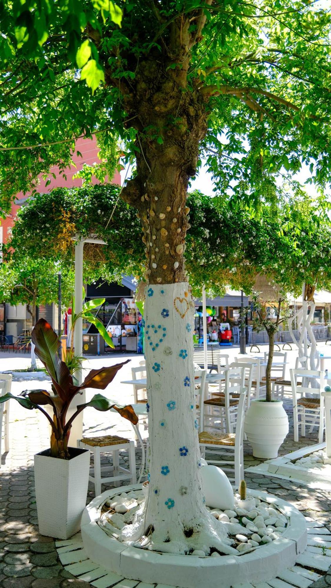 Cocoon Hotel-Beach Bar Sarti Ngoại thất bức ảnh